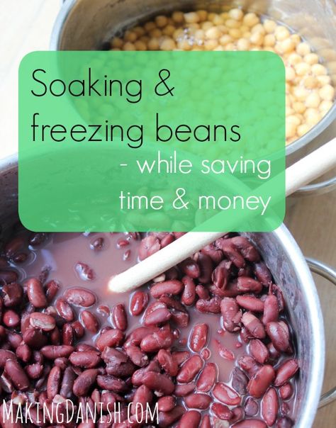 Soaking and freezing beans Mayocoba Beans, Freeze Beans, House Management, Cook Beans, Cranberry Beans, How To Soak Beans, Family Recipe Book, Pork N Beans, How To Cook Beans