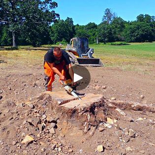 1.1M views · 1.7K comments | A Interesting Way to get rid of a Huge Tree Stump - Cut, Dig, and Burn | tree, tree stump | A Interesting Way to get rid of a Huge Tree Stump - Cut, Dig, and Burn | By Rockhill Farm - Tractors, Firewood, and Excavating | Facebook Huge Tree, Rock Hill, Tree Tree, Tree Stump, Farm Tractor, Quick Saves