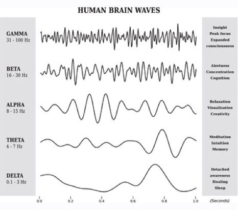 Alphabet Code, Stages Of Sleep, Diagram Chart, What Is Science, White Illustration, Wave Art, Brain Waves, Human Brain, Healthy Sleep