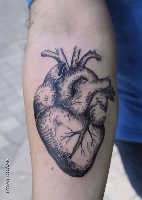 realistic heart Black an Graywash ink Human Heart Tattoo, Realistic Heart Tattoo, Anatomical Tattoos, Anatomy Tattoo, Brain Tattoo, Etching Tattoo, Anatomical Heart Tattoo, Tattoo Heart, Heart Tattoo Designs