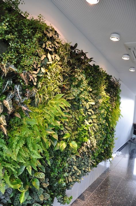 https://flic.kr/p/uuRGtU | Interior green wall in gym Interior Green Wall, Green Wall Plants, Green Wall Garden, Vertical Green Wall, Vertical Garden Plants, Green Wall Design, Taman Air, Garden Wall Designs, Indoor Water Garden