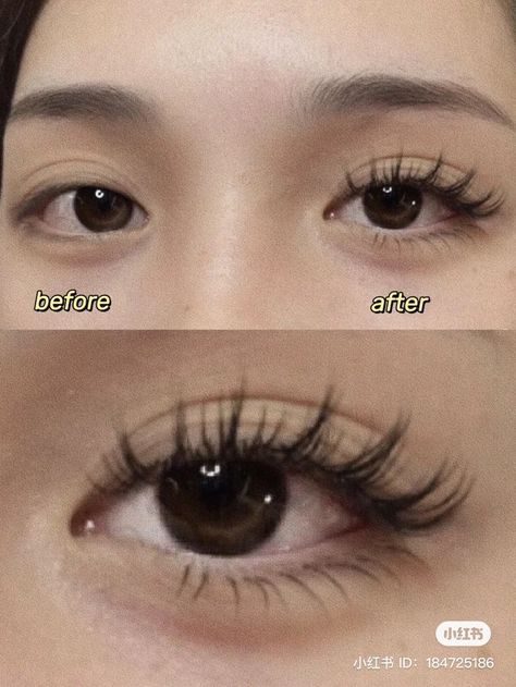 Anime Eyelash Extensions, Anime Lash Extensions, Natural Fake Eyelashes, Lashes Fake Eyelashes, Lash Extensions Makeup, Perfect Eyelashes, Doll Eye Makeup, Pretty Lashes, Eyelash Extentions