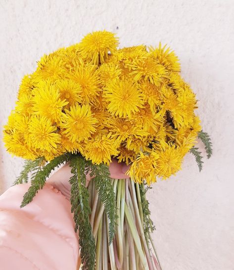 Dandelion Flower Bouquet, Dandelion Bouquet Aesthetic, Dandelion Wedding Bouquet, Dandelions Bouquet, Bouquet Of Dandelions, Dandelion Bouquet, Dandelion Wedding, Dandelion Yellow, Dream Aesthetic