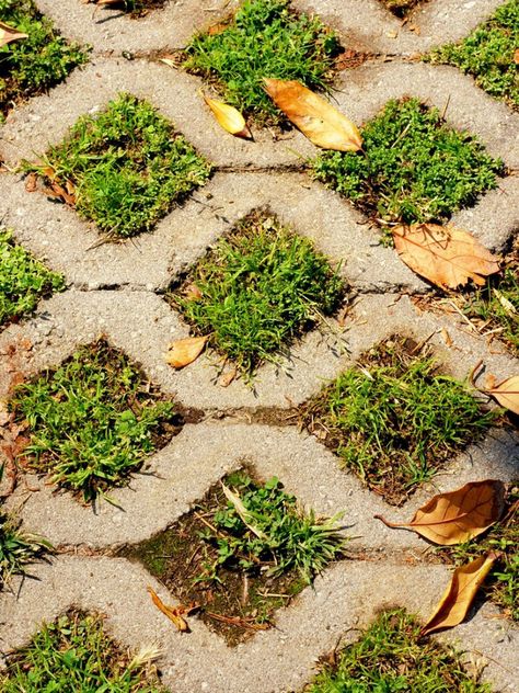 Permeable Driveway Info: Learn About Making A Grass Driveway Grass Crete Driveway, Water Permeable Driveway, Grasscrete Driveways, Driveway With Grass In Between, Eco Driveway, Grass Pavers Driveway, Green Driveway, Permeable Pavers Driveways, Driveway Ideas Cheap