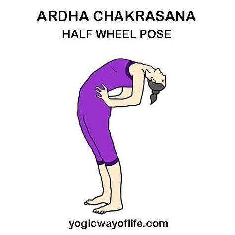 Chakrasana Pose, Yoga Asanas Names, Wheel Pose Yoga, Beginner Morning Yoga, Hip Opening Yoga, 20 Minute Yoga, Yoga Poses Names, Wheel Pose, Yoga Anatomy