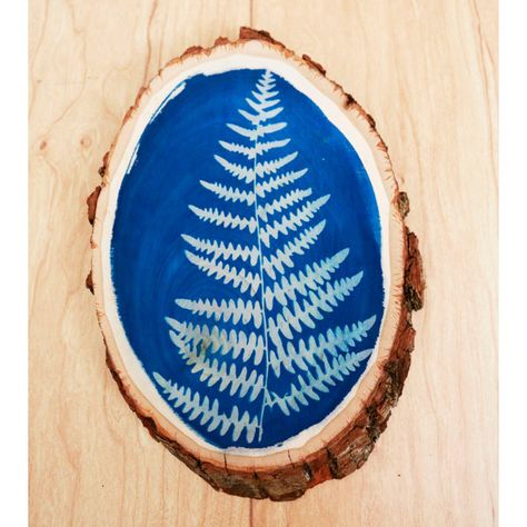 Cyanotype On Wood, Cyanotype Printing, Cyanotype Art, Sun Printing, Wall Art Traditional, Fern Wall, Fern Wall Art, Cyanotype Process, Nature School