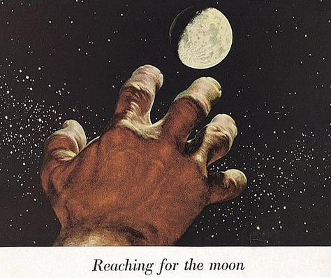 Reaching For The Moon, She Wolf, White Image, Pics Art, The Last Airbender, To The Moon, Astronomy, Cosmos, The Sky