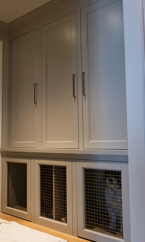 A custom made built-in mudroom closet with two dog crates built into the bottom. Mudroom Dog Crate Built Ins, Built In Dog Watering Station, Dog Crate In Mudroom, Custom Built Dog Crates, Diy Dog Crate Built In, Built In Dog Crate Mudroom, Mudroom With Dog Crate, Integrated Dog Crate, Dog Kennel Built Into Wall