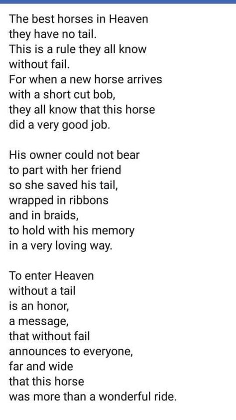 Losing A Horse, Horse Sympathy Quotes, Losing A Horse Quotes, Horse Memorial Quotes, Poems About Horses, Horse Goodbye Quotes, Losing Horse Quotes, Horse Poems, Horse Memory