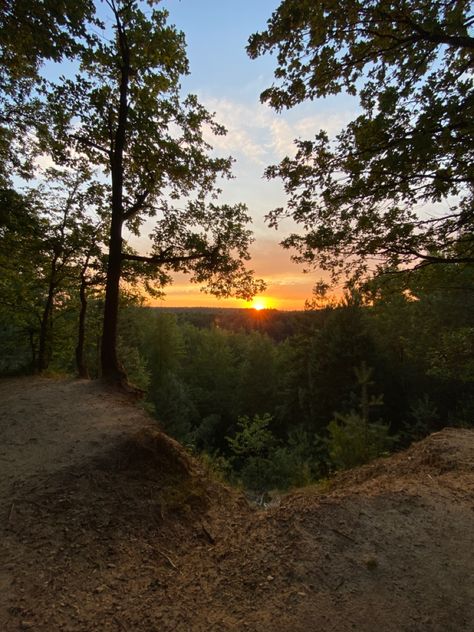 Sunset forest wallpaper Sunset In A Forest, Sunset Forest Wallpaper, Sunset Forest Aesthetic, Sunset Woods, Sunset In The Forest, Random Vibes, Green Nature Wallpaper, Sunrise Wallpaper, Forest Ranger