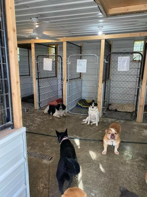 Dog Boarding In Garage, Dog Stalls Indoors, Garage Kennels For Dogs, Diy Indoor Dog Kennel Ideas, Dog Rescue Kennel Ideas, Dog Kennel Facility, Kennel Organization Ideas, Basement Kennel Ideas, Shed Kennel Ideas