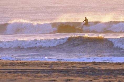 Read our guide to find the best surfing destinations with rideable waves in sunny South Florida. Sandy Shores, South Florida, Public Domain, Palm Beach, The Good Place, North America, Places To Go, Surfing, Miami