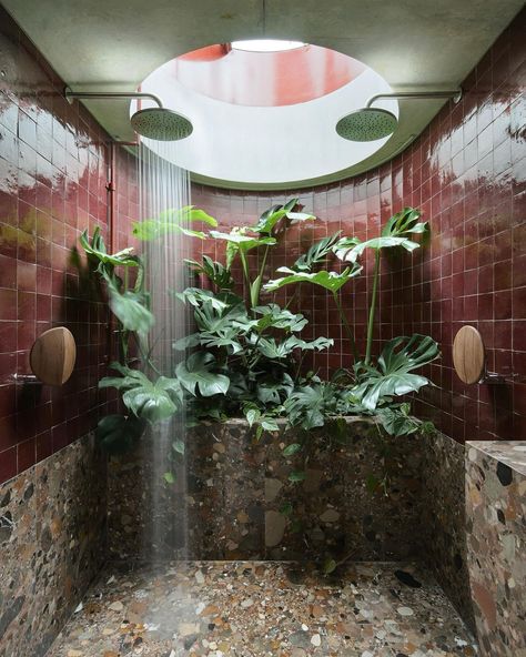 All this rainy weather has me thinking about this dream rain shower situation I had saved a bit ago. There’s just something so inherently cozy and heavenly about mixing a mature lived-in monstera plants and terrazzo stone…I am in love. Is it just me or is this now a collective love affair? #bathrooms #rainshower #terrazzo #plantlife🌱 Malachite Bathtub, Monstera Bathroom, Shower With Plants, Rainfall Shower Ideas, Plants In Shower, Sunroom Bathroom, Terrazzo Tile Bathroom, Bathrooms Aesthetic, Greenhouse Bathroom