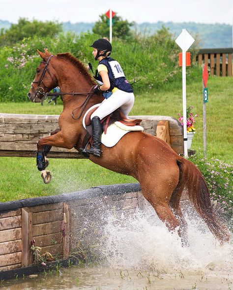 Water jump - I would love to learn three day eventing! Cross Country Eventing, Cross Country Equestrian, Cross Country Jumping, Equestrian Cross Country, Eventing Horses Cross Country, Horse Cross Country Jumps, Cross Country Horses, Cross Country Horse Riding, Horse Cross Country