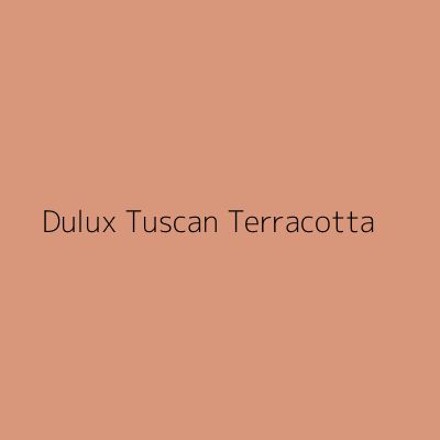 Dulux Tuscan Terracotta Tester, 30ml Terracotta Paint Uk, Terracotta Walls And Ceiling, Tuscan Orange Paint, Dulux Terracotta Paint, Sunbaked Terracotta Dulux Paint, Dulux Paint Colours Terracotta, Light Burnt Orange Paint, Dulux Tuscan Terracotta, Colours That Go With Terracotta