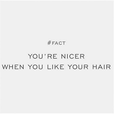 Quotes About Hair, New Hair Quotes, Hair Quotes Funny, Hairstylist Humor, Hair Captions, Stylist Quotes, Hair Salon Quotes, Hairdresser Quotes, Hair Meme