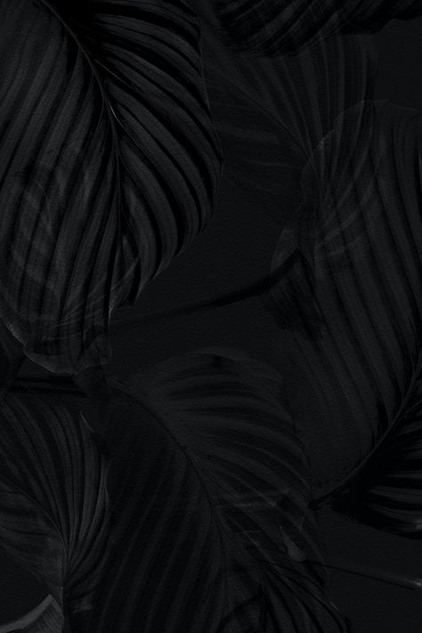 Dark calathea leaves background design resource  | premium image by rawpixel.com / Tana Black Logo Background, Black Leaves Wallpaper, Phone Wallpaper Black, Dark Texture, Calathea Orbifolia, Ig Aesthetic, Leaf Frame, Dark Art Photography, Leaves Background