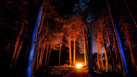 Creepy summer camp aesthetic. Tent In The Woods, In The Woods At Night, The Woods At Night, Woods At Night, Summer Camp Aesthetic, Campfire Games, Camp Aesthetic, Halloween Camping, Stealth Camping