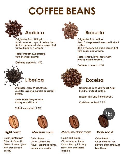 TYPES OF COFFEE BEANS How To Make Hot Coffee, Barista Photography, Fmcg Products, Barista Art, Types Of Coffee Beans, Coffee Infographic, Coffee Origin, Types Of Coffee, Coffee Latte Art