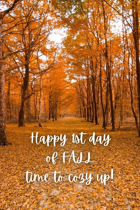 My favorite time of the year ❤️... Today is the first day of Autumn 🍁 Good Morning First Day Of Fall, Happy First Day Of Fall Quotes, 1st Day Of Fall Quotes, First Day Of Fall Activities, First Day Fall, First Day Of Fall Quotes, Fall Time Quotes, 1st Day Of Autumn, Happy Fall Quotes