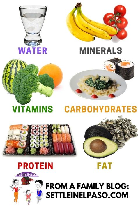 Six groups of food nutrients with pictures. #food #parenting #healthyfood #health #healthtips Healthy Food Motivation Pictures, Food Groups For Kids, 5 Food Groups, Keto Bodybuilding, Children Food, Food Meaning, Dental Tips, Protein Food, Food Types