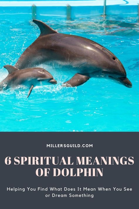 6 Spiritual Meanings of Dolphin 1 Dolphin Quotes, Spirit Animal Meaning, White Dolphin, Animal Meanings, Goddess Names, Spiritual Animal, Animal Medicine, Water Spirit, Power Animal