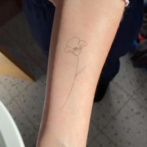 Fine Line Poppy, Simple Poppy Tattoo, Poppy Tattoos, Poppies Tattoo, Different Tattoos, Temporary Tattoo Designs, Dainty Tattoos, Tattoo Set, Little Tattoos