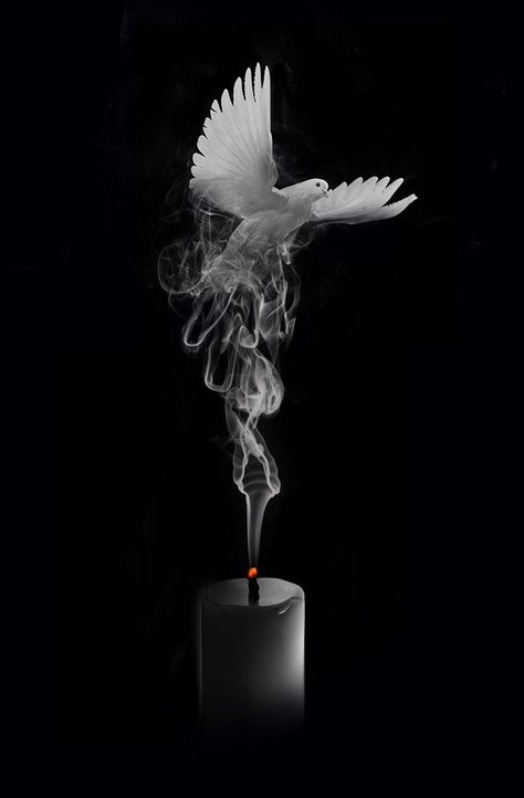 In Loving Memory Tattoos, Candle In The Dark, Best Nature Images, Black Paper Drawing, White Dove, Memorial Tattoos, Pop Art Wallpaper, Galaxy Phone Wallpaper, Simple Background Images