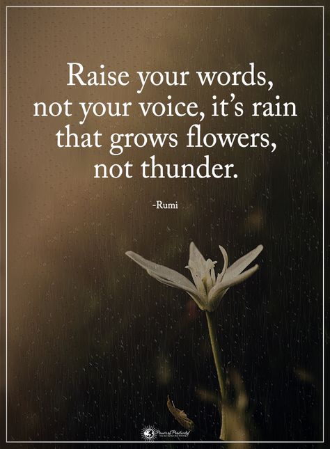 Raise your words, not your voice, it's rain that grows flowers, not thunder. - Rumi  #powerofpositivity #positivewords  #positivethinking #inspirationalquote #motivationalquotes #quotes #life #love #hope #faith #respect #thunder #raise #words #voice #grows #flowers #rumi #rumiqoutes #rumiwords Good Night I Love You, Perspective Quotes, Heal Yourself, Positive Motivational Quotes, Personal Growth Quotes, Rumi Quotes, Positive Quotes Motivation, Power Of Positivity, Nature Quotes