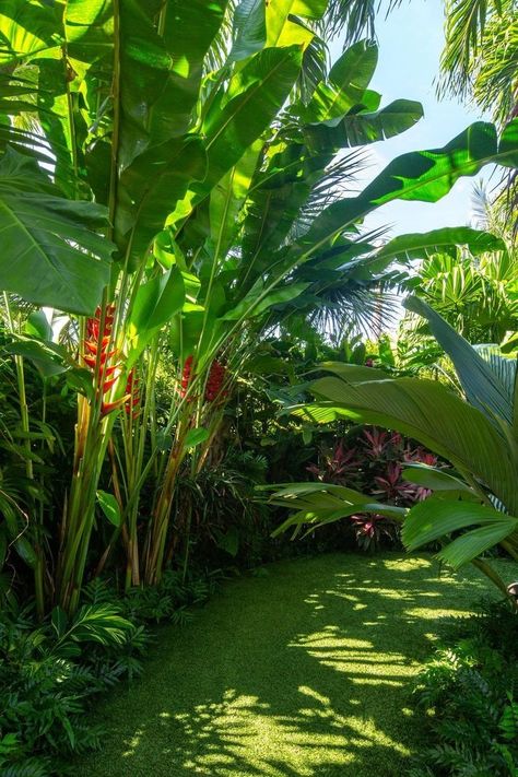 Biophilic Concept, Hammock Area, Tropical Backyard Landscaping, Bali Garden, Balinese Garden, Florida Landscape, Tropical Landscape Design, Outdoors Ideas, Garden Tropical