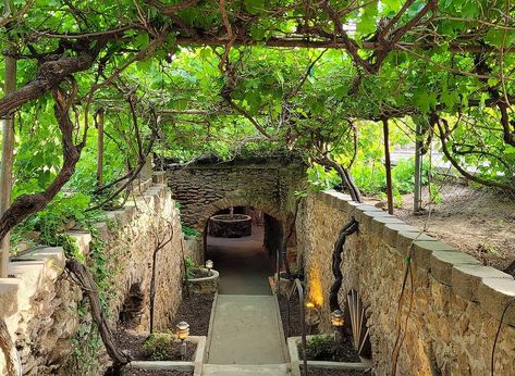 Underground Garden, Underground Homes, Underground Tunnels, Night Garden, Better Homes And Garden, Variety Of Fruits, Greenhouse Gardening, Garden Pictures, Dream Backyard