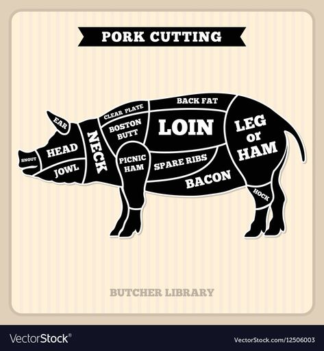 Pork Cuts Diagram, Pig Diagram, Parts Of A Cow, Meat Cuts Chart, Meat Design, Meat Drawing, Pork Belly Recipes Crispy, Butcher Diagram, Pig Meat