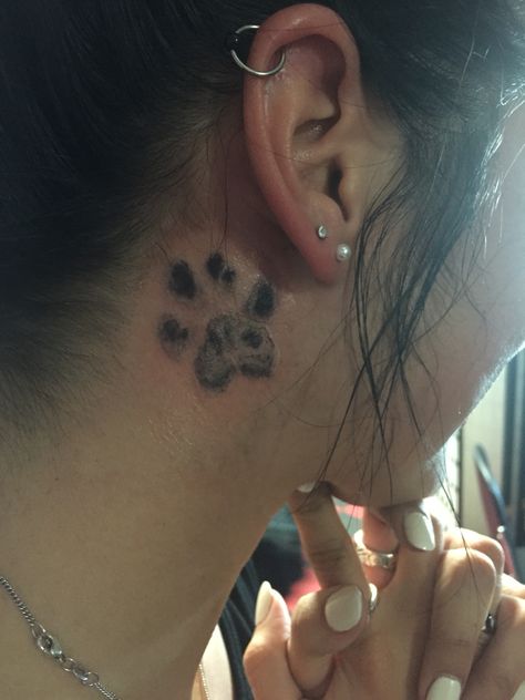 Paw Behind Ear Tattoo, Pet Paws Tattoo, Dog Paw Tattoo Behind Ear, Pawprint Tattoo Behind Ear, Husky Ear Tattoo, Paw Tattoo Behind Ear, Paw Print Tattoo Behind Ear, Dog Ears Tattoos, Cat Print Tattoo