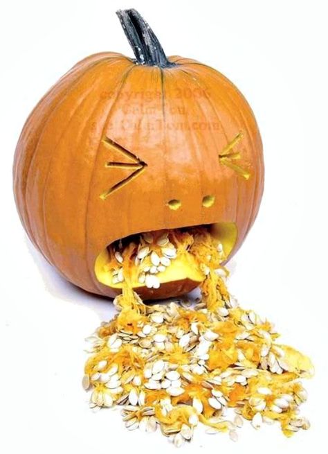 Barfing Pumpkin and other adorable pumpkin carving ideas! Puking Pumpkin, Unique Pumpkin Carving Ideas, Creative Pumpkin Carving, Hallowen Ideas, Cheesecake Dip, Pumpkin Template, Zucca Halloween, Creative Pumpkins, Funny Pumpkins