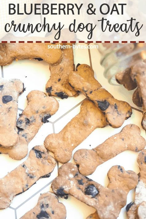 Who doesn't love to spoil their dog? These crunchy dog treats made with blueberries, peanut butter, and oats will become your dog's new favorite cookie! For everything Chihuahua visit us via… More Blueberry Treats For Dogs Recipe, Natural Dog Biscuit Recipes, Cute Dog Treat Recipes, Homemade Dog Treats With Blueberries, Crunchy Dog Treats Recipes, Healthy Dog Cookies, Dog Bakery Ideas Recipe, Blueberry Pumpkin Dog Treats, Blueberry Dog Treats Homemade Easy