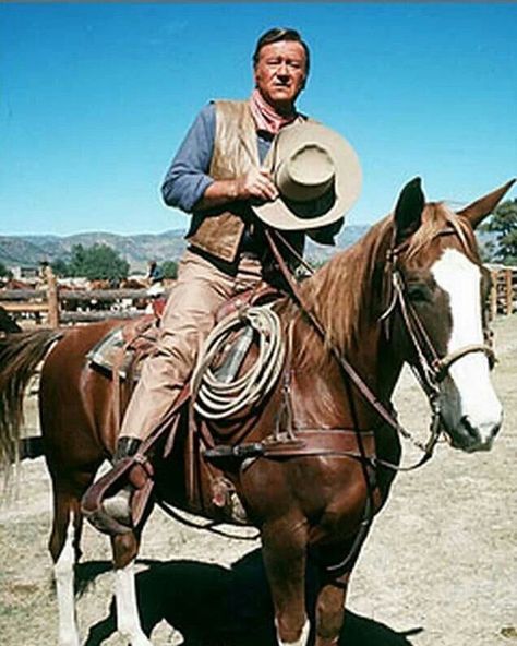 John Wayne “The Duke” Fans on Instagram: “John Wayne may or may not have liked horses, but he did have a favorite in his later years.  The sorrel gelding was called Dollor and it…” John Wayne Quotes, Western Men, John Wayne Movies, Ben Johnson, Cowgirl Stuff, Riding A Horse, Movie Actors, Real Cowboys, Photo Star