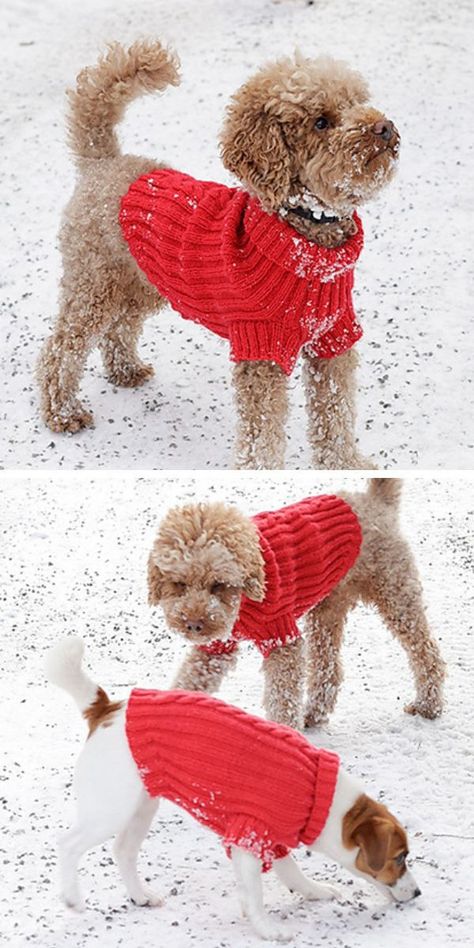 Comfy Knit Dog Sweater Patterns for Pleasant Winter Walks Dog Jumper Pattern, Dog Jumper Knitting Pattern, Knitting Patterns For Dogs, Knitted Dog Sweater Pattern, Dog Sweater Crochet Pattern, Dog Sweater Pattern, Small Dog Sweaters, Crochet Dog Patterns, Crochet Dog Sweater