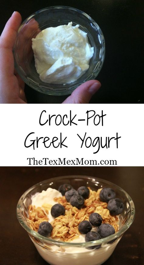 Greek Yogurt Recipe, Make Greek Yogurt, Homemade Greek Yogurt, Making Yogurt, Healthy Probiotics, Yogurt Recipe, Greek Yogurt Recipes, Easy Budget, Food Stamps