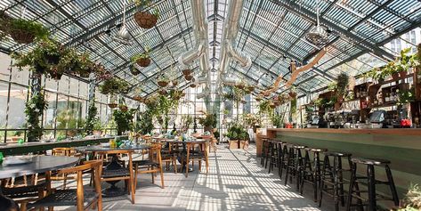 Greenhouse Addition, Greenhouse Restaurant, Greenhouse Cafe, Glass Restaurant, Outdoor Restaurant Design, Los Angeles Restaurants, Cap Ferret, Outdoor Restaurant, House Restaurant