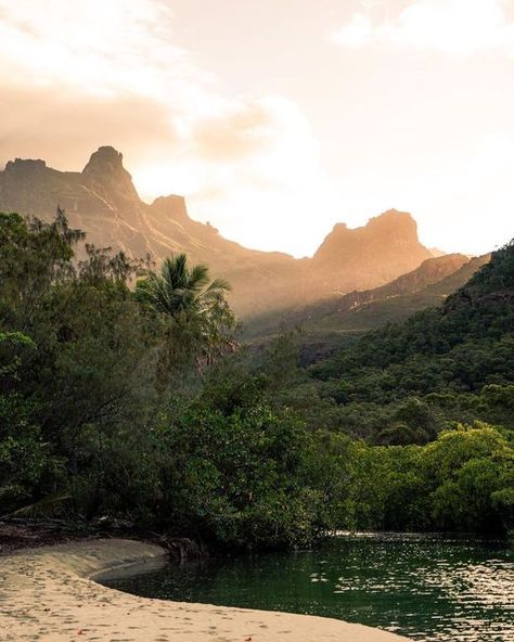 Tropical Island Aesthetic, Far North Queensland, Tropical North Queensland, Travel Aesthetic Tropical, North Sentinel Island, Daintree Rainforest, Great Barrier Reef, Jurassic Park, Queensland