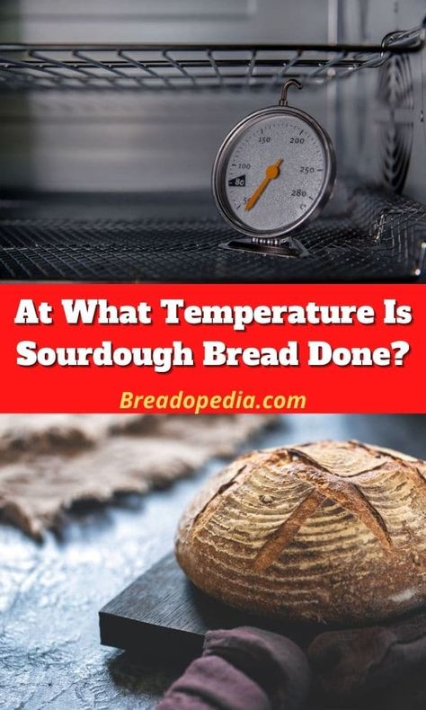 At What Temperature Is Sourdough Bread Done? Sourdough Temperature Chart, Temperature Chart, Natural Probiotics, Instant Read Thermometer, Wild Yeast, Baking Stone, Sourdough Baking, Sourdough Bread Recipe, White Bread