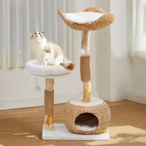 PRICES MAY VARY. 【Natural Wooden Cat Tree】This modern cat tree is made from real tree branches that have been carefully selected and wrapped with natural sisal rope, which is sturdy for 2 or 3 cats. The heavy-duty base ensures stability when climbing. 【Muti-purpose Activity Center】Our wooden cat tower features platforms,handcrafted basket, two playing balls, a luxury cat condo and climbing posts, provides a variety of features to keep your cat active and entertained. 【Perfect Gift for Kittens】Th Unique Cat Trees, Wooden Cat Tree, Modern Cat Tree, 3 Cats, Cat Trees, Pet Ideas, Luxury Cat, Activity Center, Tower Design