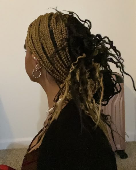 honey blonde and black knotless braids skunk stripe braids Skunk Stripe Box Braids, Skunk Stripe Braids, Box Braids With Curls, Peekaboo Braids, Curly Braided Hairstyles, Braids Blonde, Hair Stripes, Skunk Stripe, Blonde Box Braids