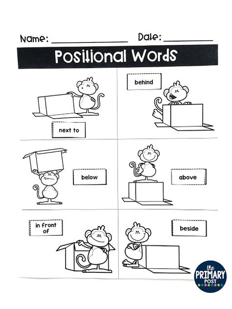 Position Words Worksheet, Positional Words Kindergarten, Positional Words Activities, Positional Language, Kindergarten Readiness Checklist, Preposition Activities, Positional Words, Words Worksheet, Preschool Language