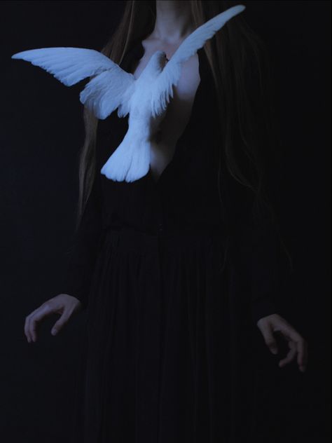 Laura Makabresku, White Dove, Southern Gothic, Mystical Art, Dark Photography, Dark Fantasy Art, Black Aesthetic, Dark Art, Dark Aesthetic