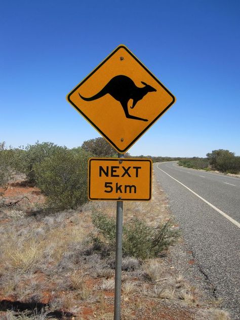 Road Signal, Gap Year, Road Signs, Great Barrier Reef, Australia Travel, Tasmania, Dream Destinations, Sydney Australia, Asia Travel