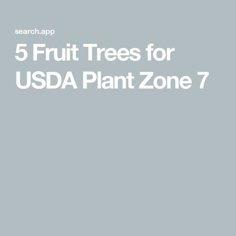 5 Fruit Trees for USDA Plant Zone 7 Zone 7 Fruit Trees, Nectarine Fruit, Tree Transplanting, Watering Trees, Planting Fruit Trees, Fruit Bearing Trees, House Building Ideas, Edible Landscape, Apricot Tree