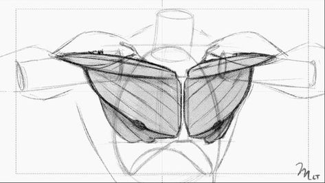 Anatomy Structure, 남성 근육, Human Anatomy Reference, Human Anatomy Drawing, Human Anatomy Art, Human Drawing, Anatomy Sketches, Chest Muscles, Anatomy For Artists