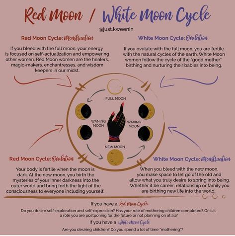 Moon Cycle Period Ritual, Red Moon White Moon Cycle, Moon And Femininity, Women Moon Cycle, Menstruating On A Full Moon, New Moon Cycle, Period During New Moon, Menstration Magick, Full Moon And Menstrual Cycle