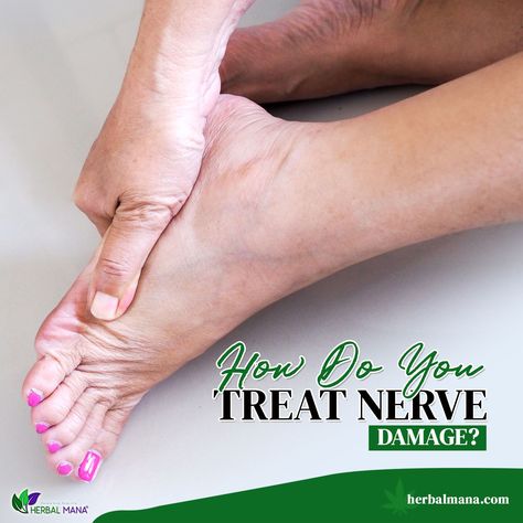 Oils For Nerve Damage, Repair Nerve Damage, Nerve Damage Remedies Leg, Heal Nerve Damage, Natural Remedies For Nerve Damage, Vitamins For Nerve Damage, Essential Oils For Nerve Damage Repair, Healing Nerve Damage, Essential Oils For Nerve Damage